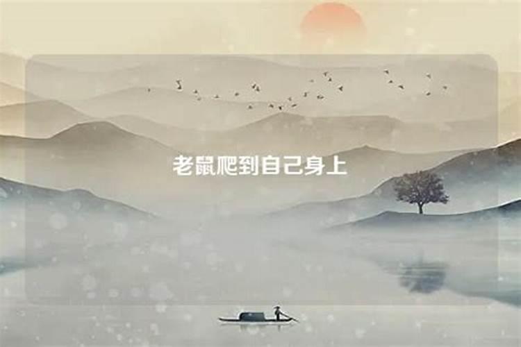 梦见小老鼠好多往自己身上爬
