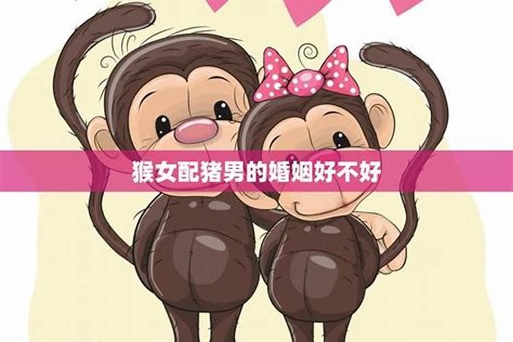 属猪生属猴的好吗