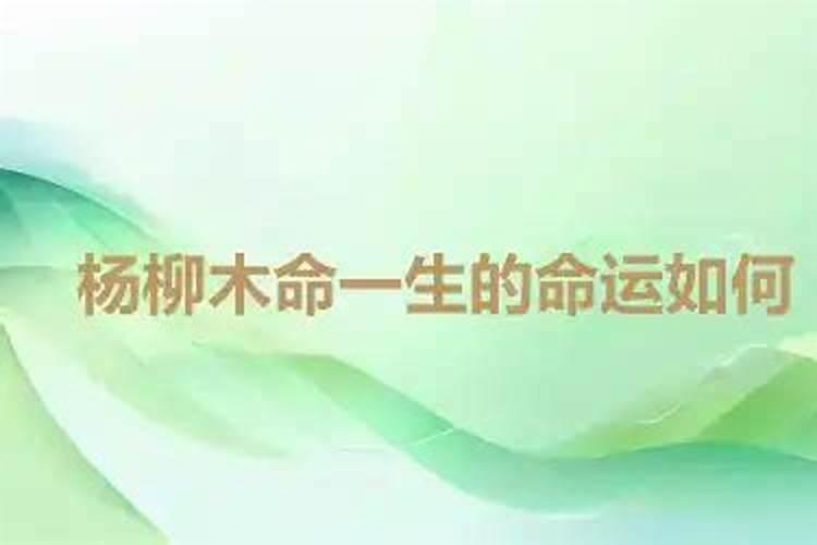 2003年出生的是属什么属相？
