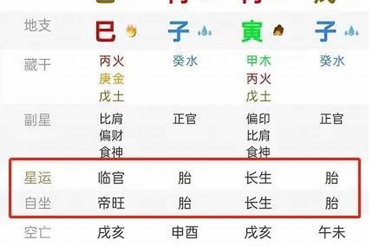 八字排盘中的星运是什么,八字排盘图文解析