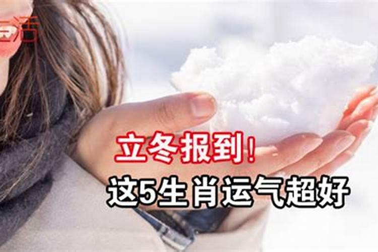 2025年蛇年犯太岁的四个属相怎么化解