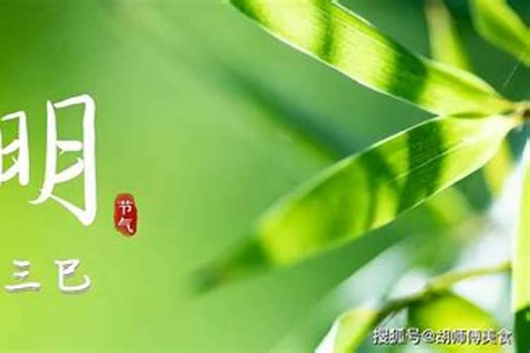 属猪2025年犯太岁怎么化解
