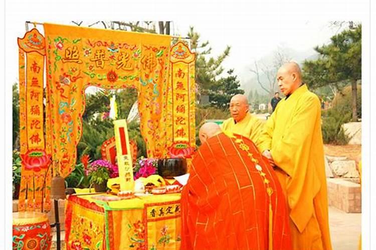家里有老鼠怎么把它赶出去