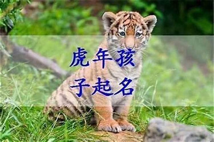 阴历:二零二三年正月初二(阳历:2023年1月23日)出生的女宝宝取名