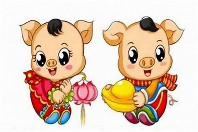女属猪今天打牌的运气怎么样猪今天赢钱方位解析
