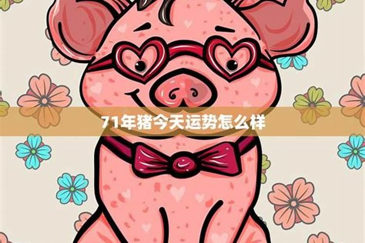 71年猪女2024年婚姻感情
