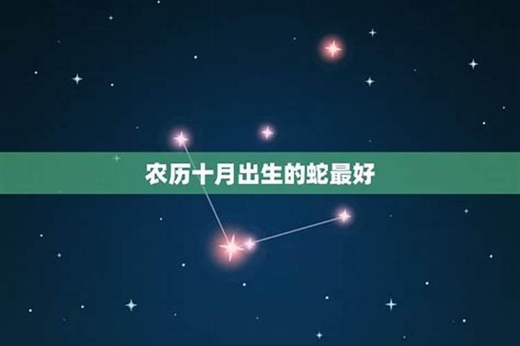 1973年属牛2025年运势及运程