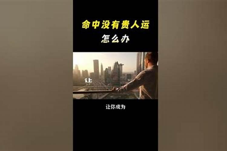 公猫和母猫的性格有什么差别？