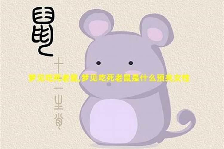 梦见死老鼠是什么预兆