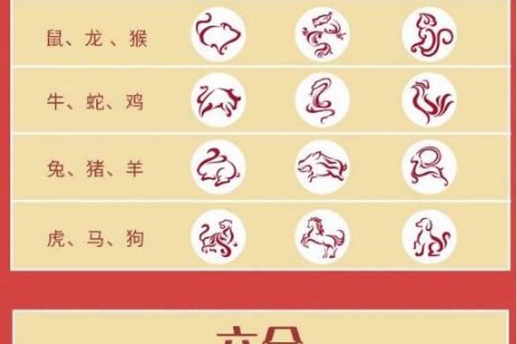 泄露了生辰八字会被借运吗
