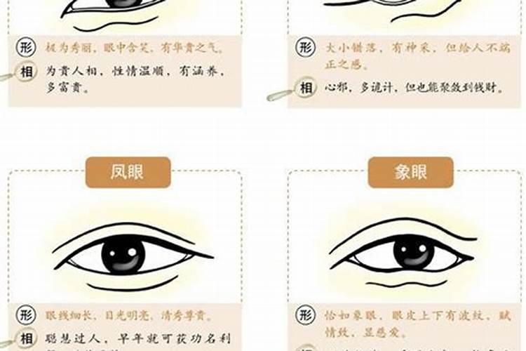 怎么查自己到底是不是童子