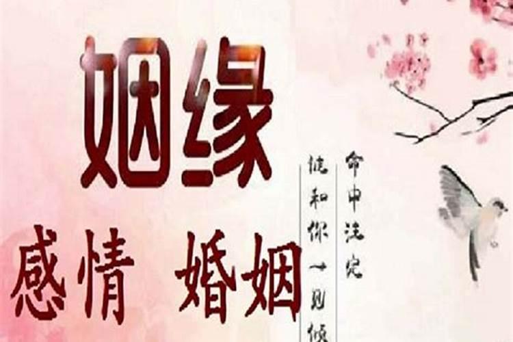 1984年属鼠女2025年的运势和婚姻