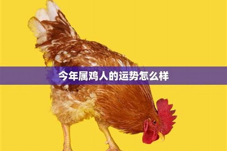 1969年属鸡女2024年全年运势及每月运势