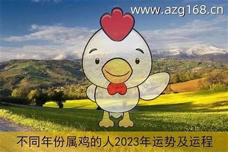 1969年鸡在2025年蛇年的运程