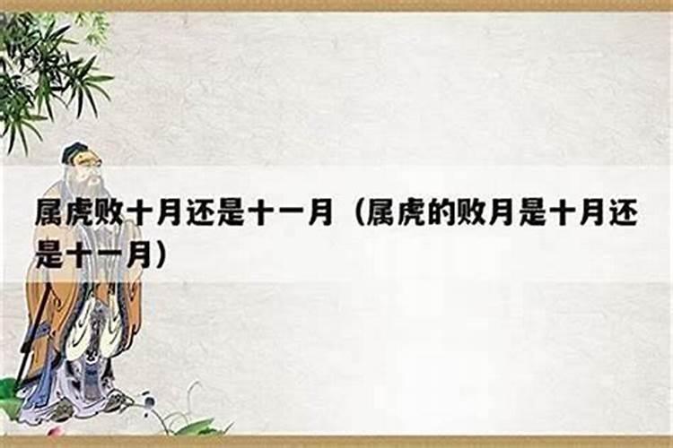 属虎农历10月出生女人命运,10月出生的虎好不好