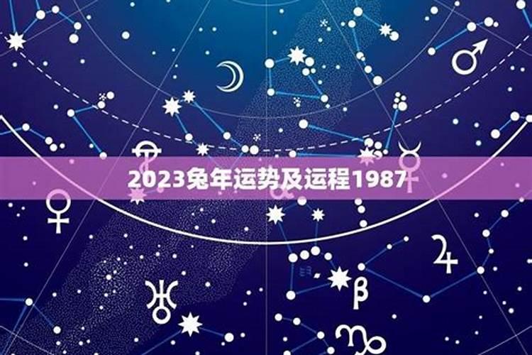 1987年属兔2025年的运势及运程如何