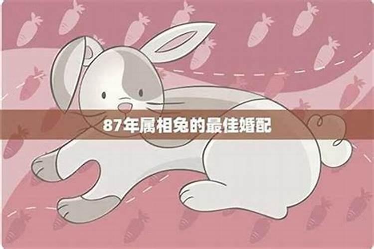 1987年属兔人2024年全年运势 87年属兔人最穷不过37岁