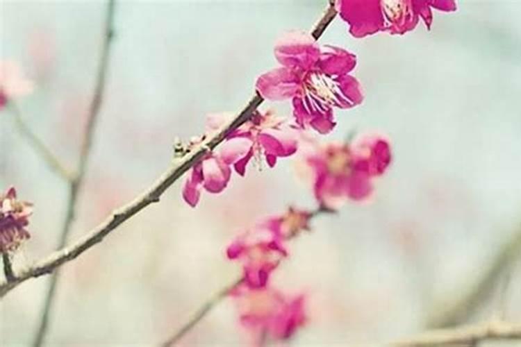 梦见一家人一起去干活