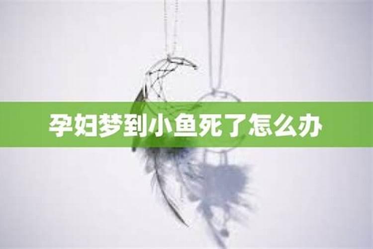 梦到小鱼有什么征兆