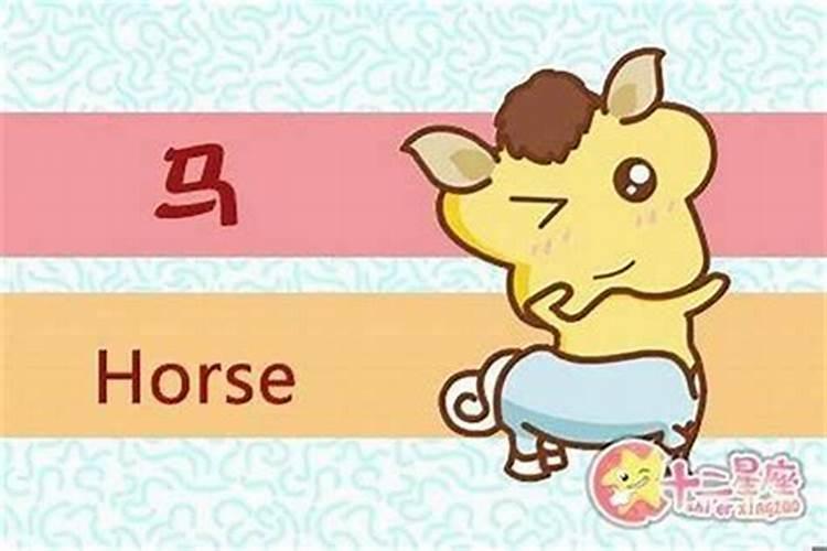 属猪和属马的相配吗