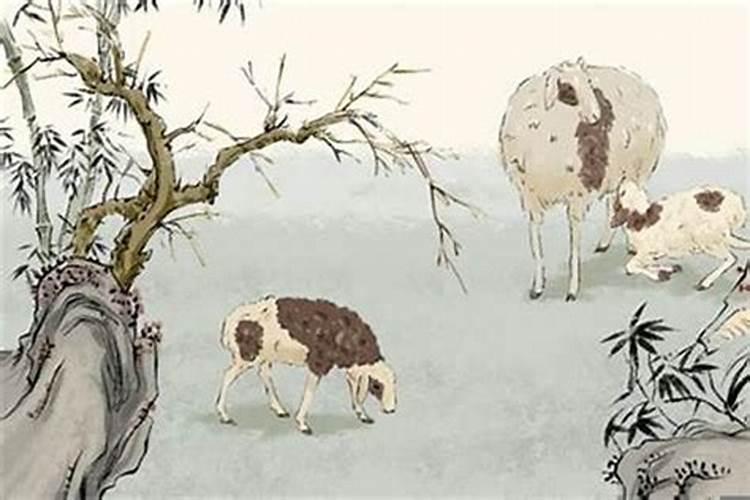 属鼠和属羊合不合
