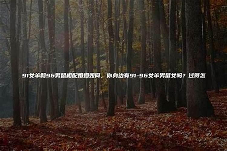 属鼠和属羊合婚不合,八字合婚如果不合可以补救吗