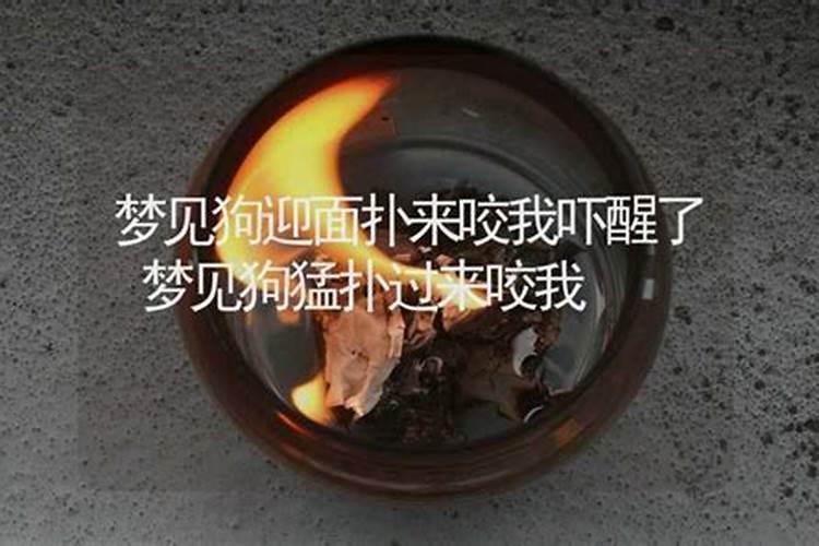 我出生在1994年农历3月28日中午13点零8分我的命运如何？