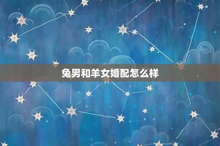 属猴的人和属龙的人适合在一起吗？