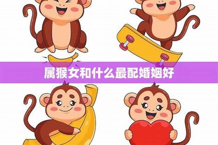 属猴女的最佳配对是哪些婚配大揭晓