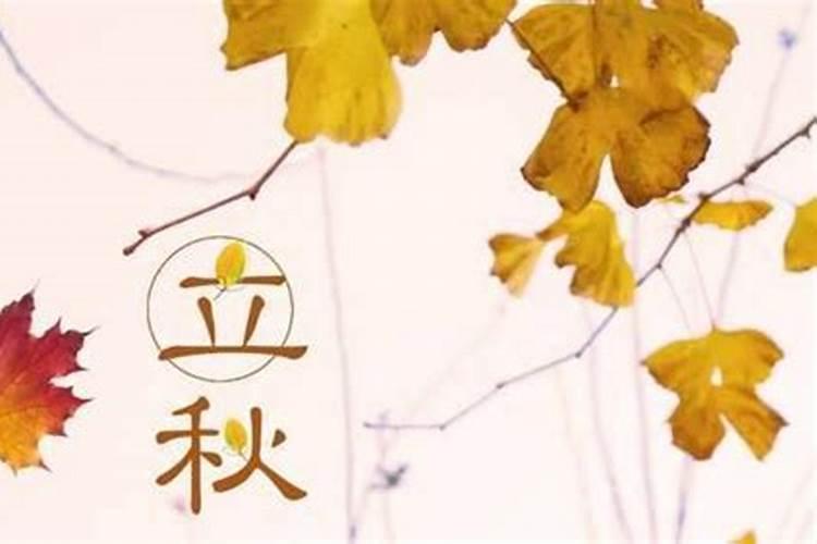 徐利治访谈录内容简介