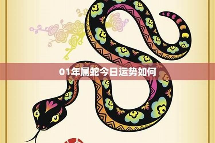 食神大运是什么意思