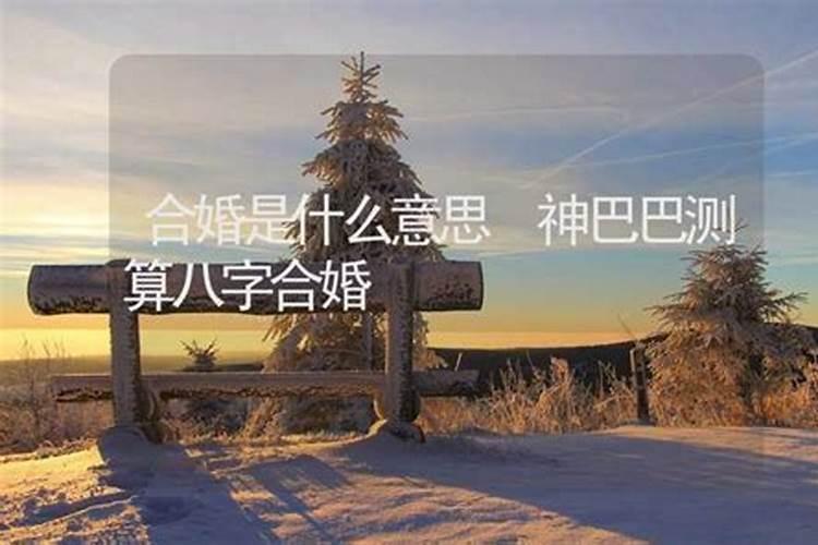 属狗的刑太岁是哪些年份 转运办法？