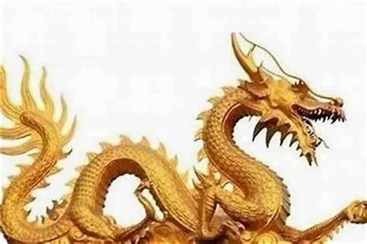 合八字:属龙的女人和属狗男能配吗 婚姻好不好