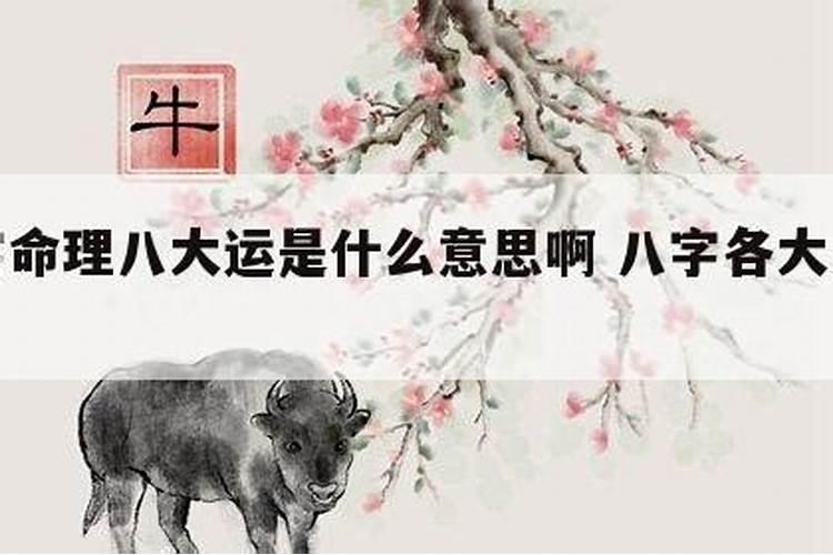 八字命理是什么意思