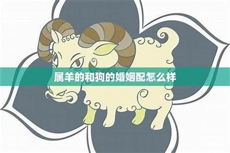 生辰合婚:属羊的女人和属狗男能结婚吗 有没有姻缘