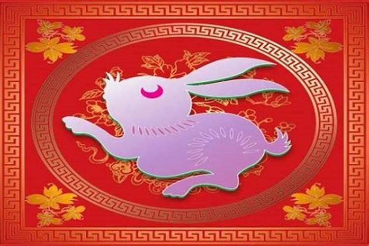 属猪的人命运怎么样