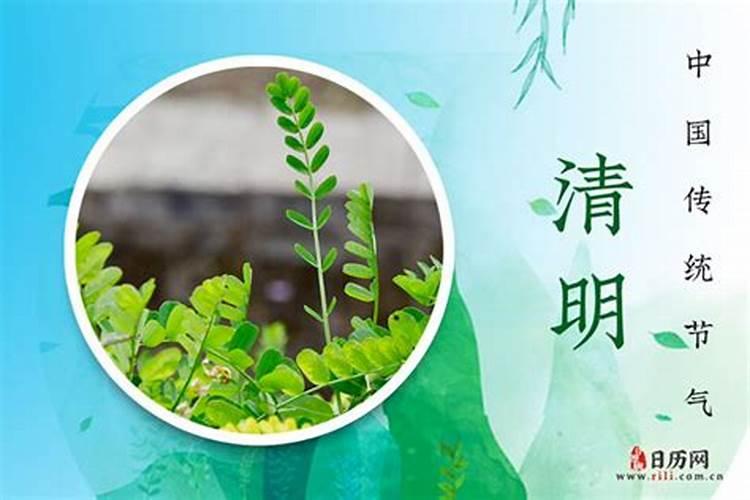 清明节是哪天