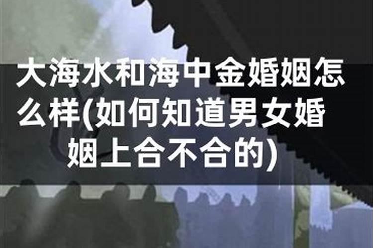 五行中大海水命与大海水命为什么不可以婚配
