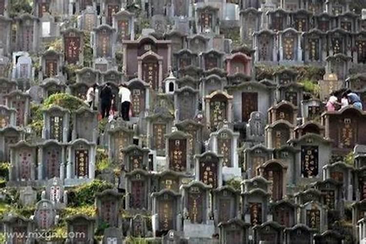 69年属鸡人将来十年运程 将来可期安享暮年？