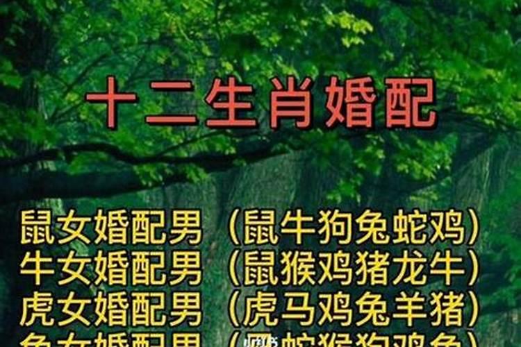 腊八什么肖最旺财