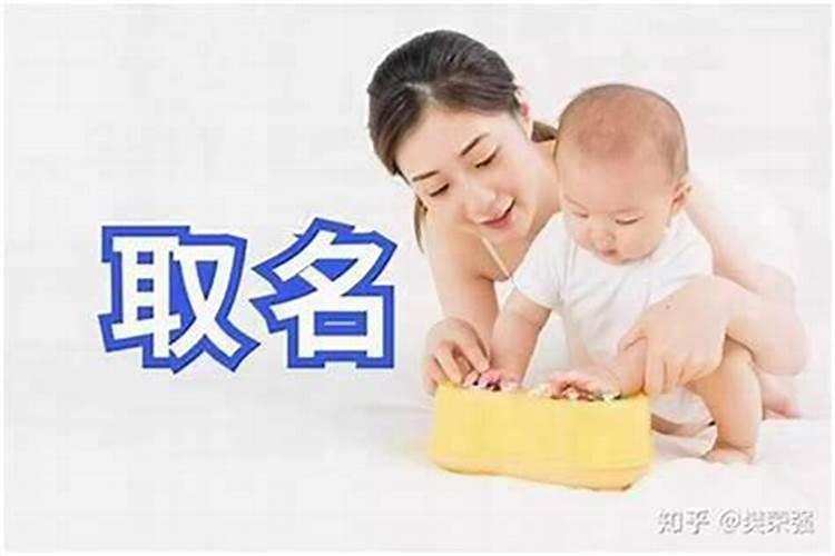 属羊12月出生2016年的运程怎样