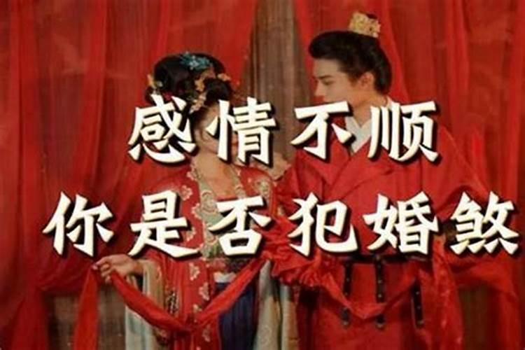 农历九六年正月初二日亥时生是什么命运？