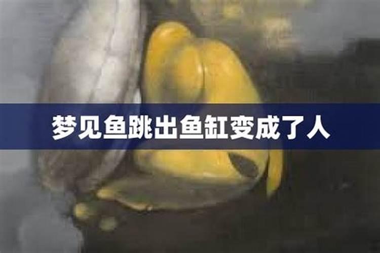 梦见大海里海鱼往外跳的预兆