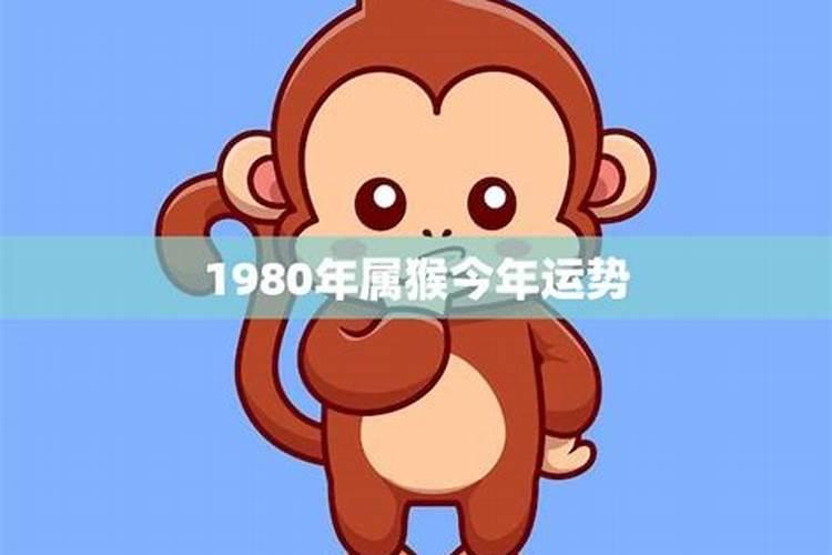 1983年属猪未来6年大运