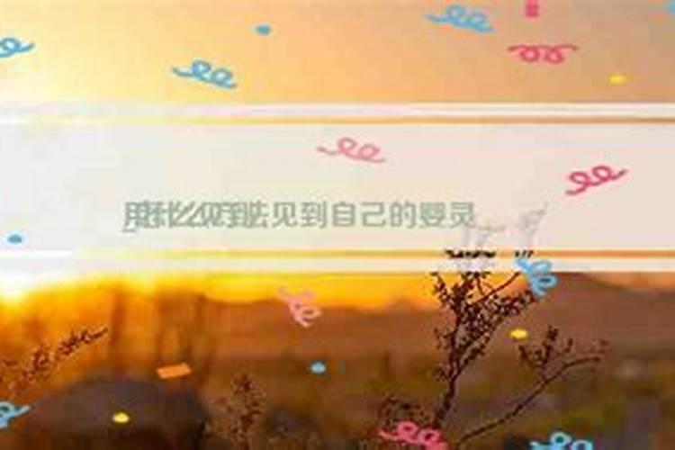 梦见被偷钱