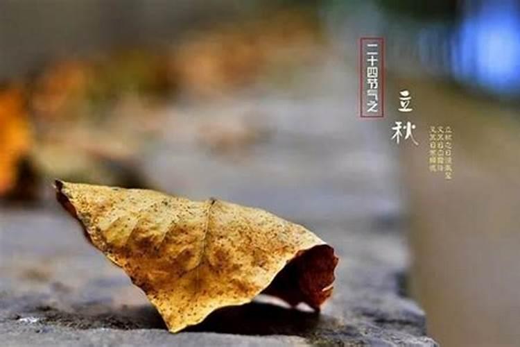 立秋了需要注意什么