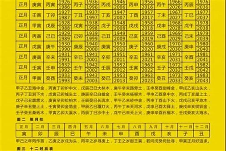 元亨利贞网八字排盘使用指南