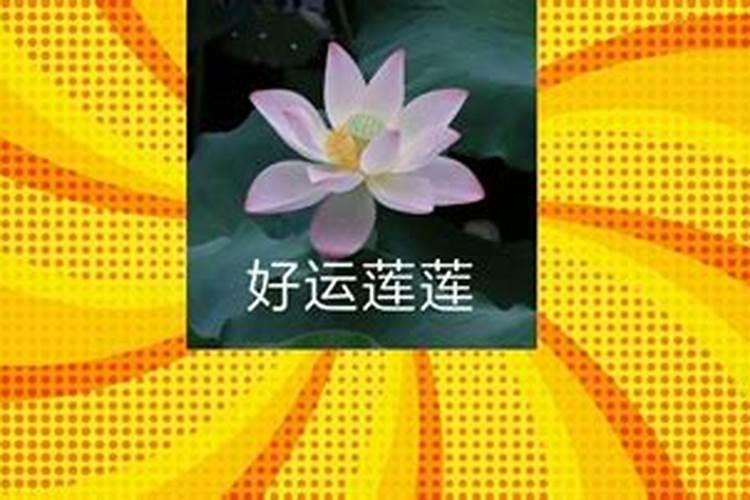 真童子的人生最后结局