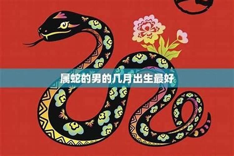 属蛇的男人性格和爱情