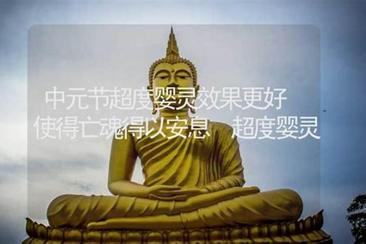 2024年87年属兔人的全年运势如何